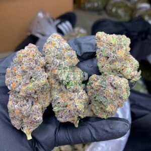 ice cream cake strain