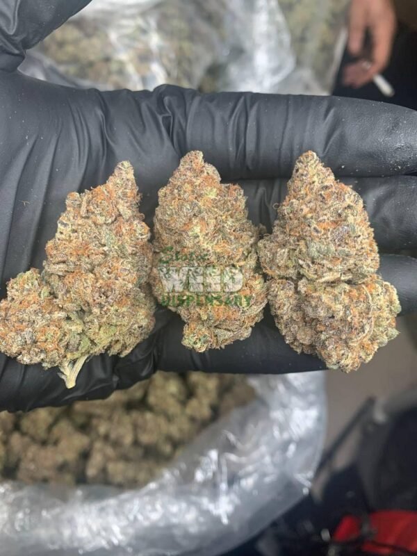 4900022515087288825_121-1.jpg Runtz Strain