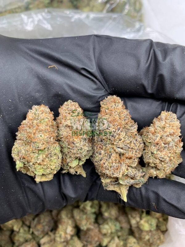 4900022515087288834_121.jpg Blue Afghani