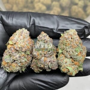 exotic wedding cake strain