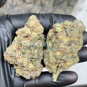 Cheese Quake strain