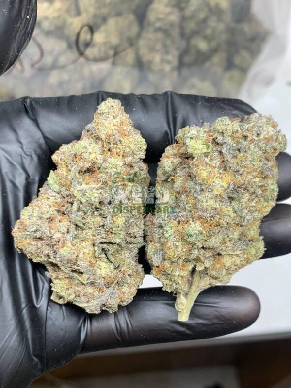 Cheese Quake strain