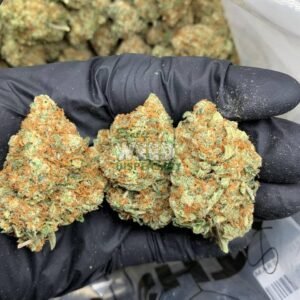 Blueberry Pancakes Strain