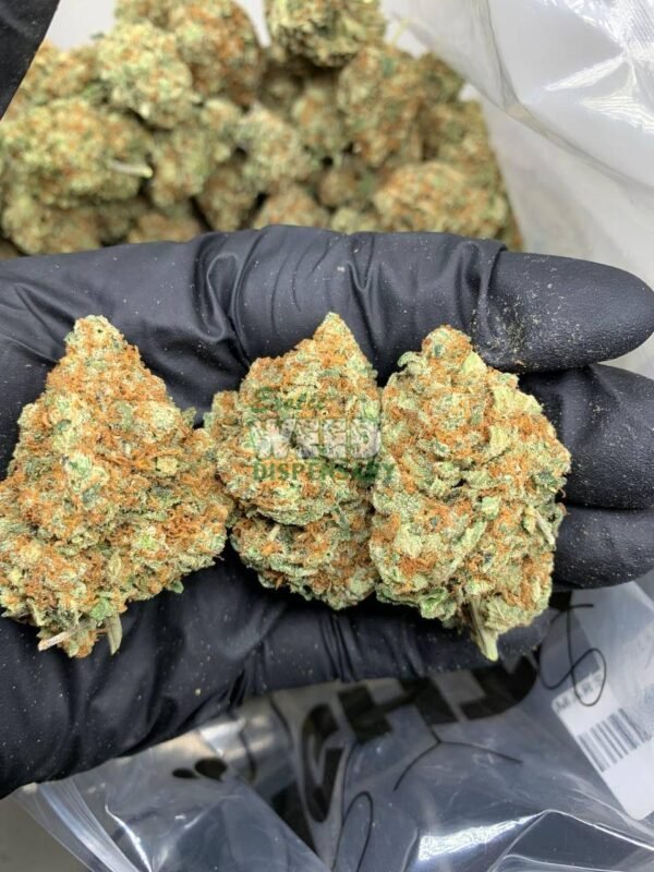 Blueberry Pancakes Strain