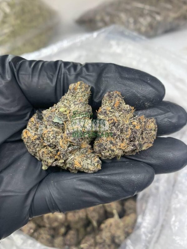 Purple Skunk