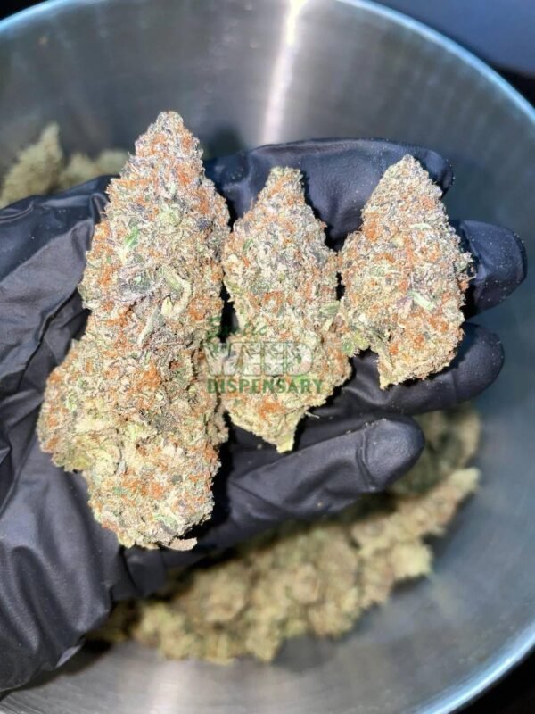 4900022515087288901_121.jpg Purple Dream