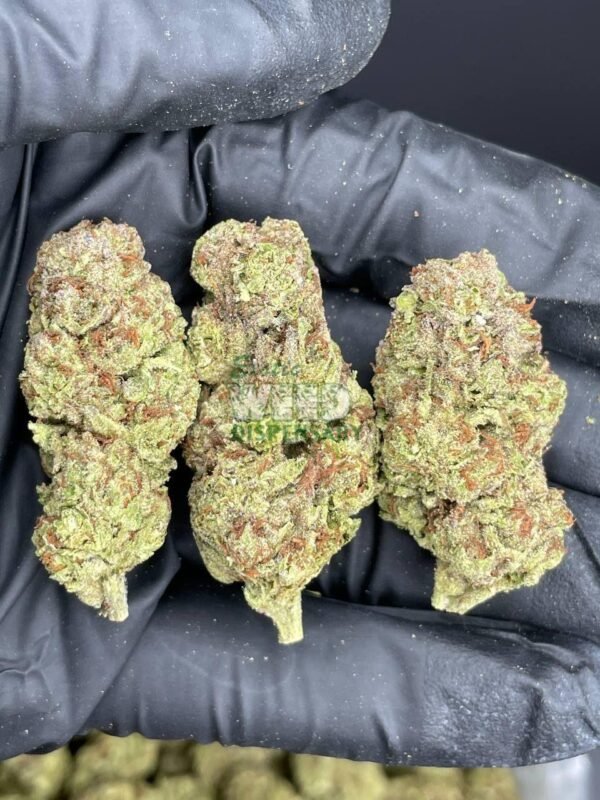 4900022515087288934_121.jpg Chemdawg 4