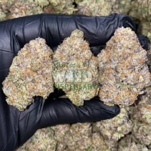 animal cookies strain