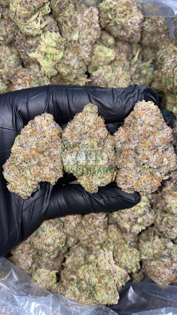 animal cookies strain