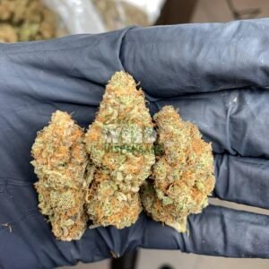 Cherry Pie Strain
