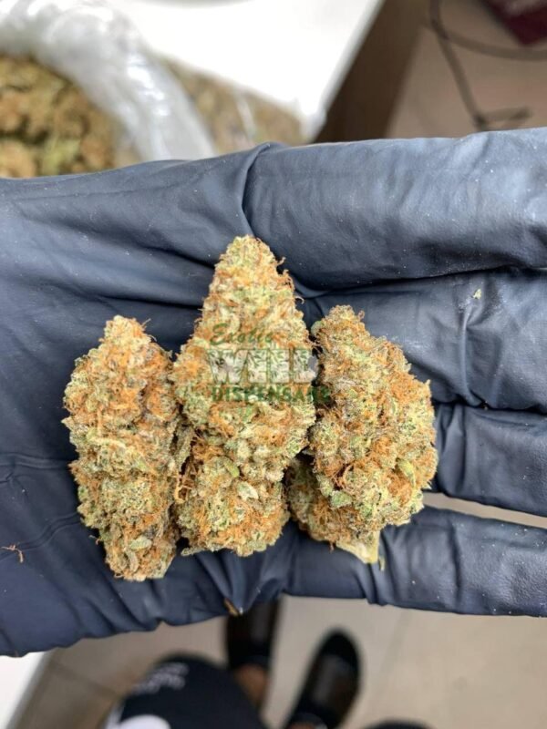 Cherry Pie Strain