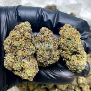 Grease monkey strain