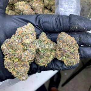 IMG_20211105_082532_225.jpg pink cookies strain