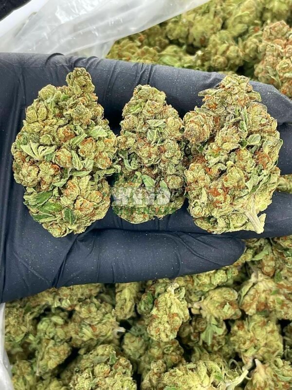 bruce banner weed