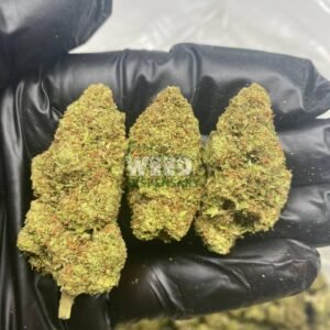 Lemon-Skunk.jpg Lemon Skunk