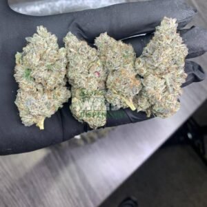 Northern Lights strain