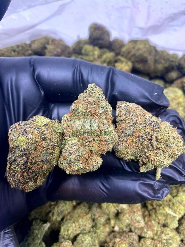 Strawberry Lemonade Strain