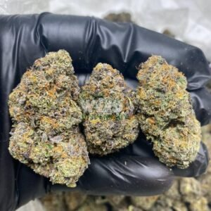 Strawberry Shortcake Strain