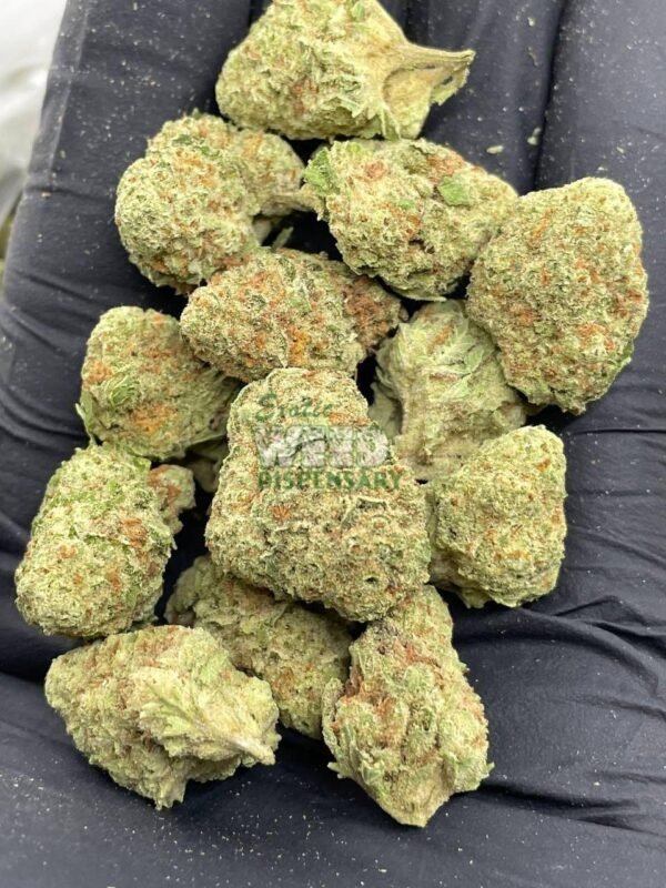 early-skunk.jpg early skunk strain