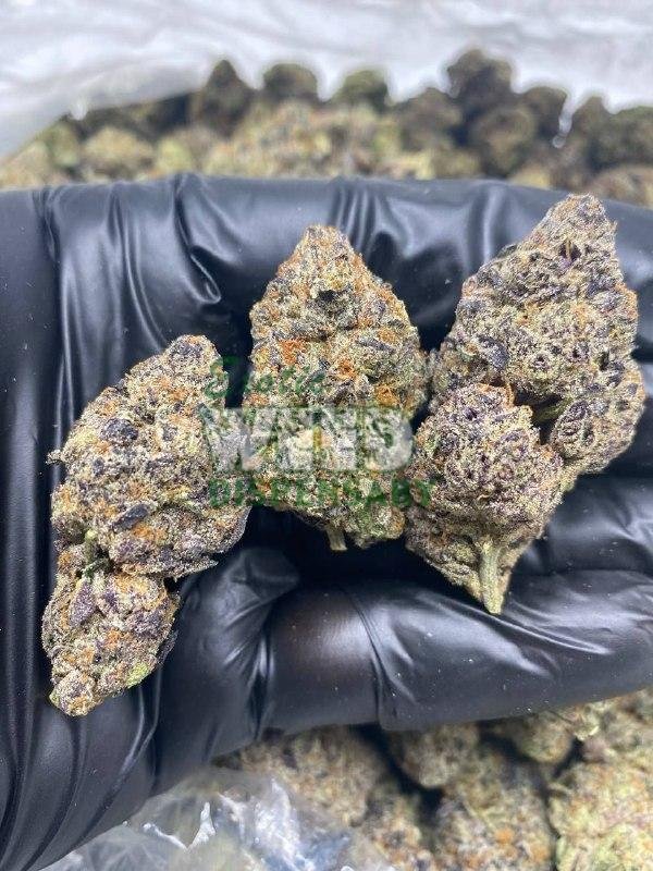 Purple Runtz Strain