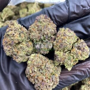 Obama Runtz for sale