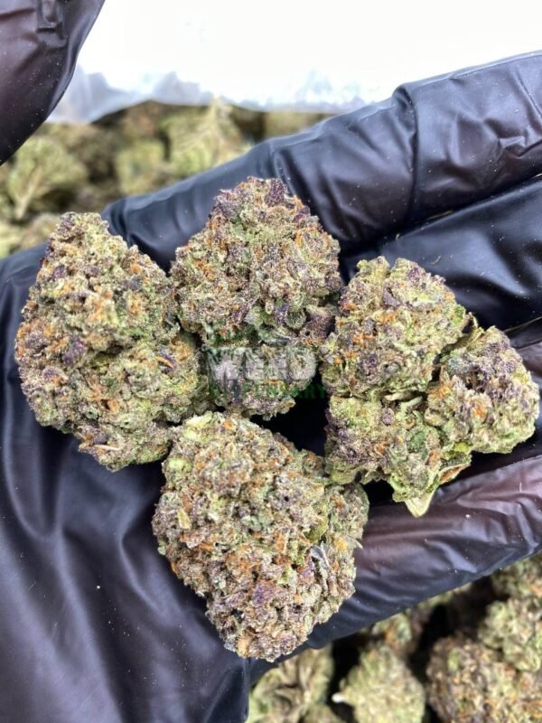 photo1638985098.jpeg Obama Runtz for sale