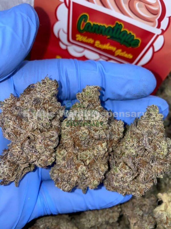 white raspberry gelato