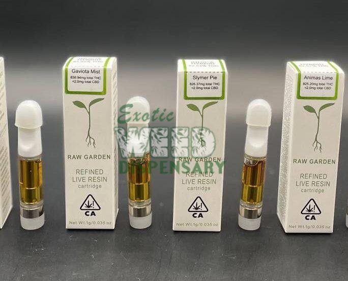 Gang XXL Switch Duo Disposable Pod Device TFN