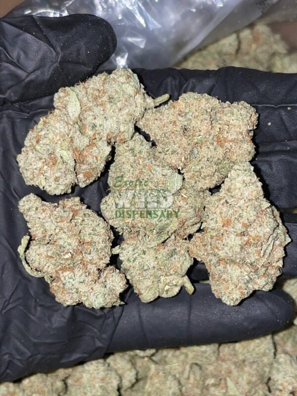 w17.jpg white widow strain